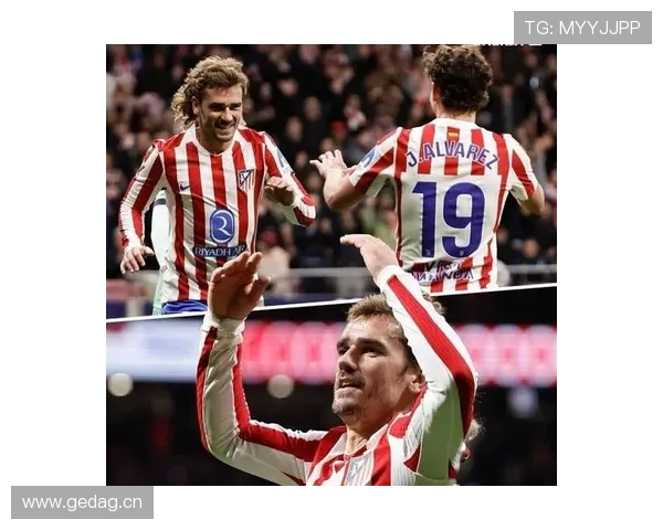 从中锋到二前锋：阿尔瓦雷斯的角色演变